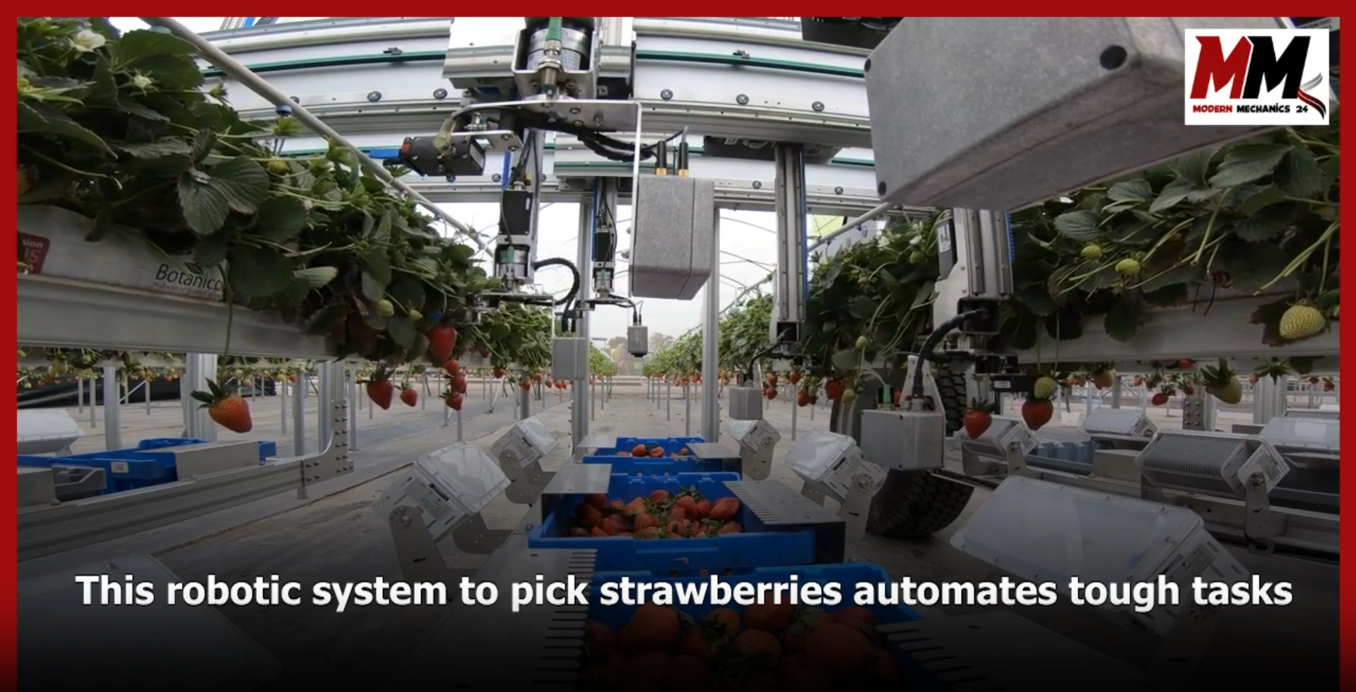 This robotic system to pick strawberries automates tough tasks