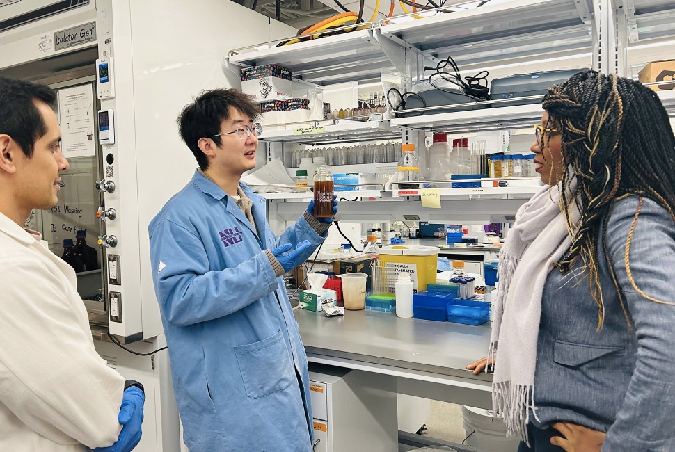 A detailed 3D model of the ferrihydrite mineral surface showing mixed positive and negative charge patches, based on Northwestern University research.