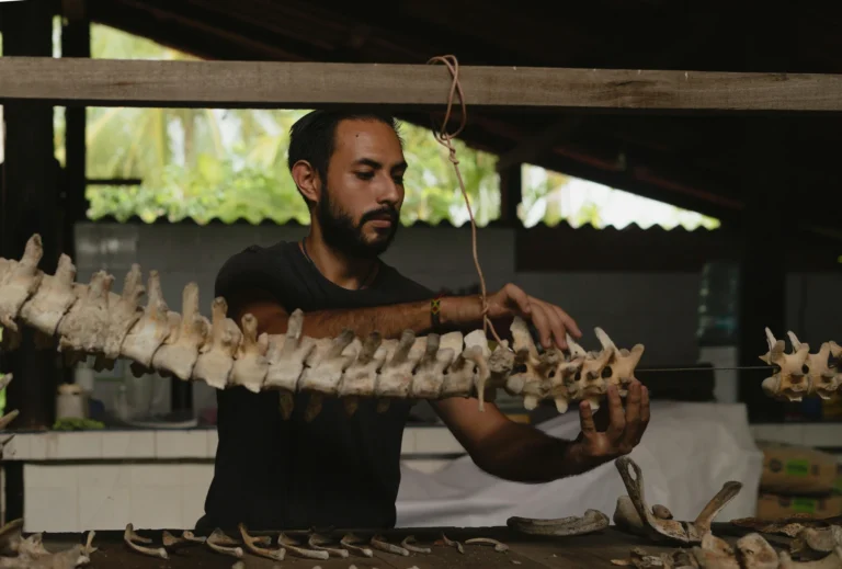 Riversleigh Fossil Unlocks Ancient Songbird’s Story