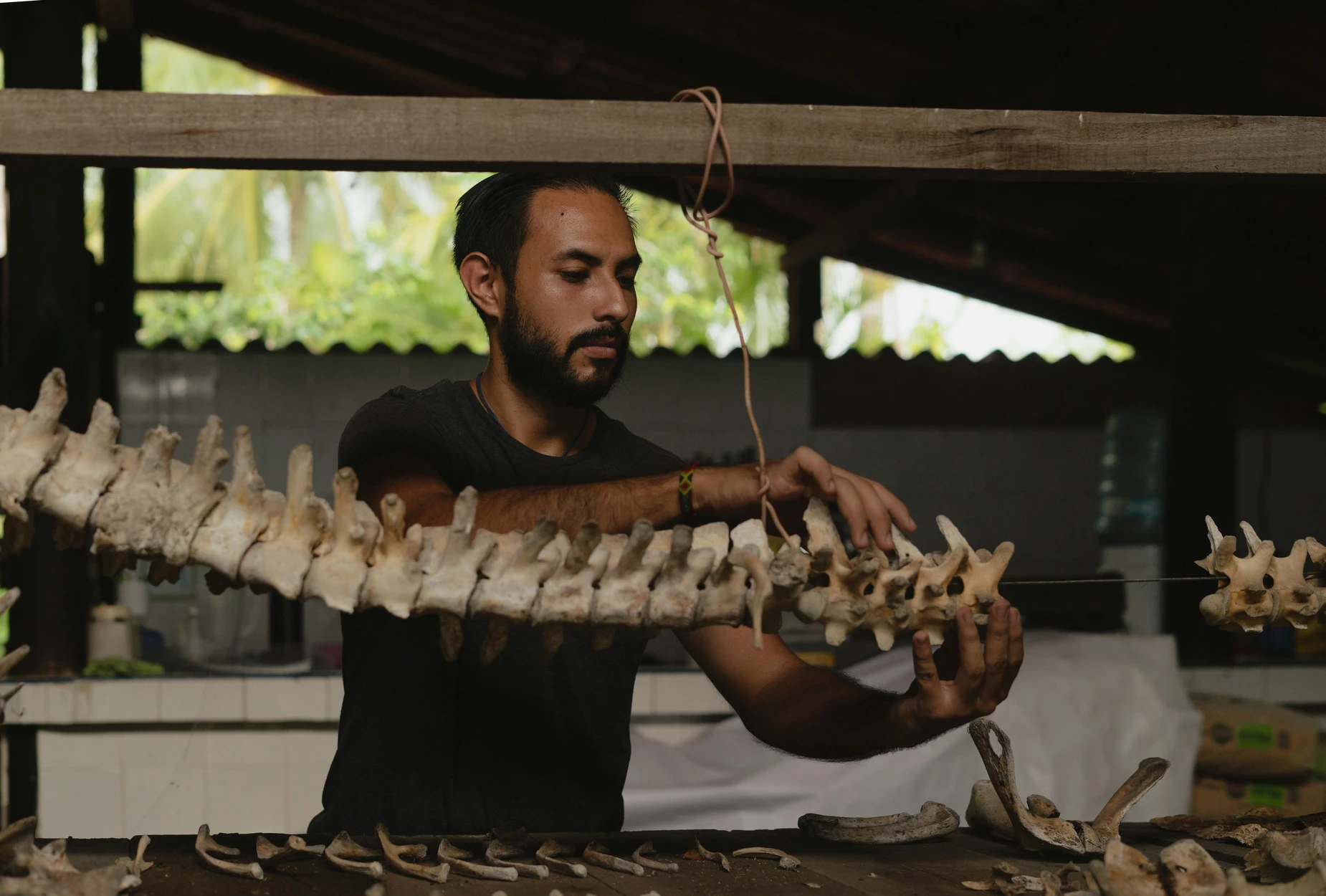 Riversleigh Fossil Unlocks Ancient Songbird’s Story