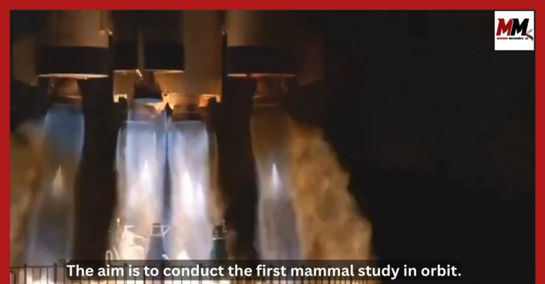 China sends 3 astronauts