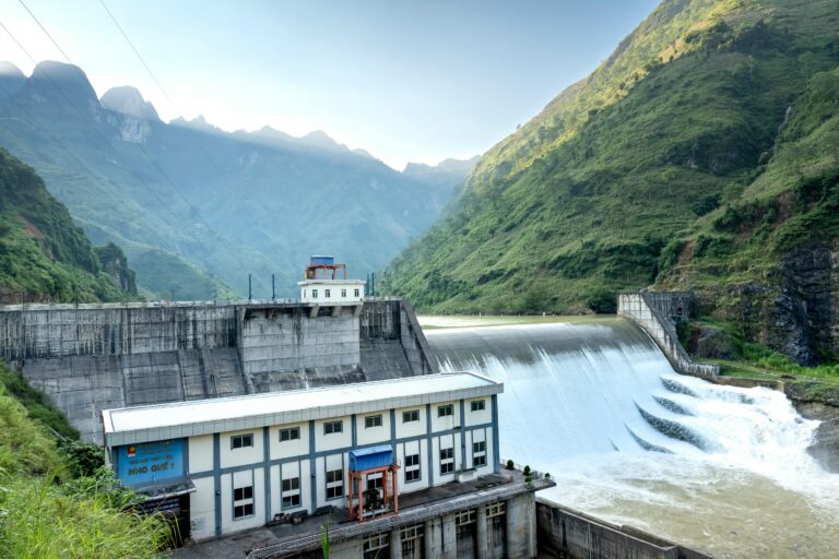 pexels quang nguyen vinh 222549 29000117