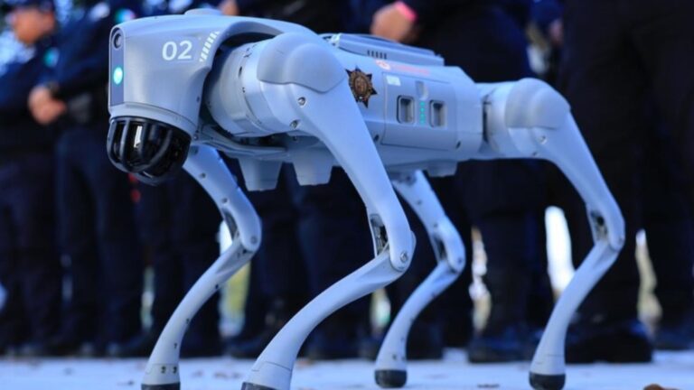 Robot Dogs