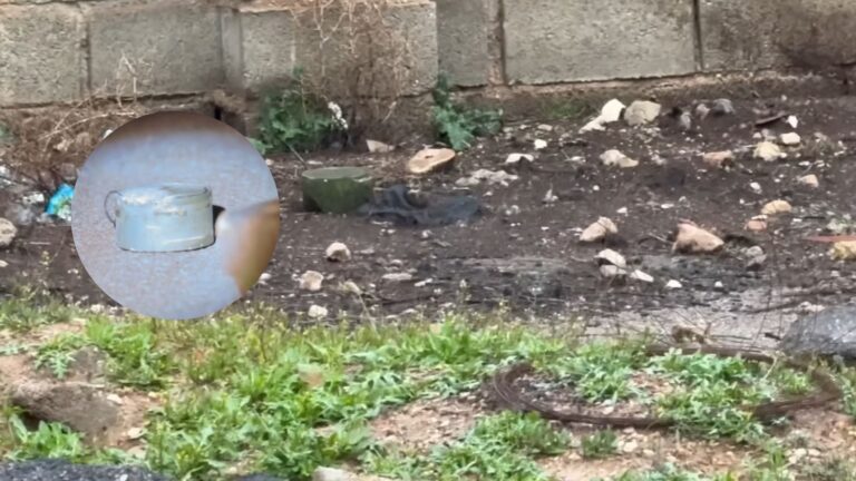 US Self-destructor Mines