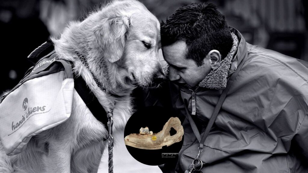 DNA Human Dog Friendship