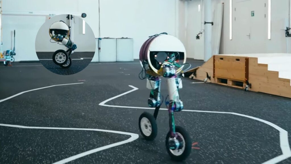 RAI Roadrunner Robot