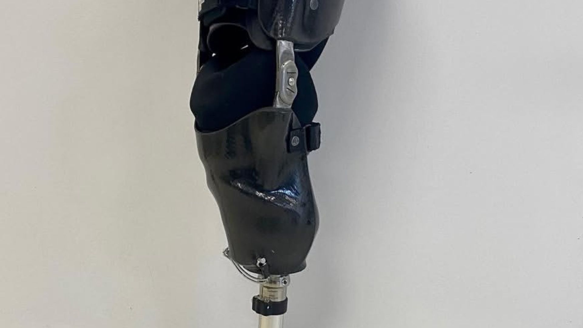 Prosthetic Limb Socket