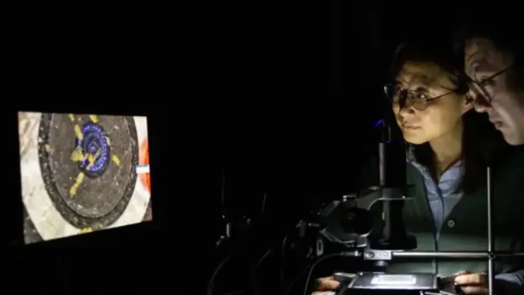 Chiral semiconductors