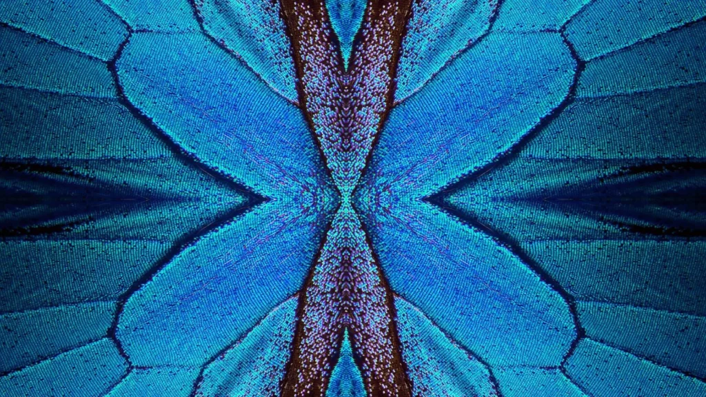 Butterfly-Inspired Lattice