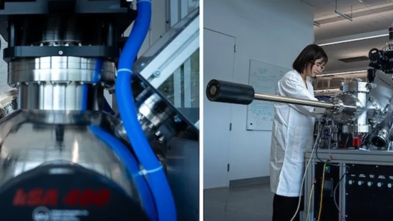 Room-Temperature Multiferroic Boosts Magnetism