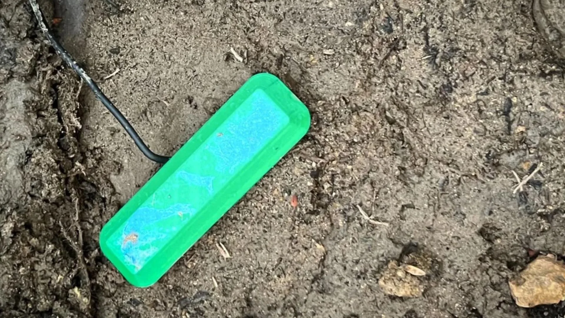 Soil Microbes Now Power Sensors Without Batteries