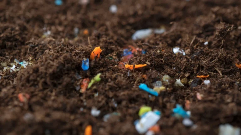 Microplastics in soil enters crops