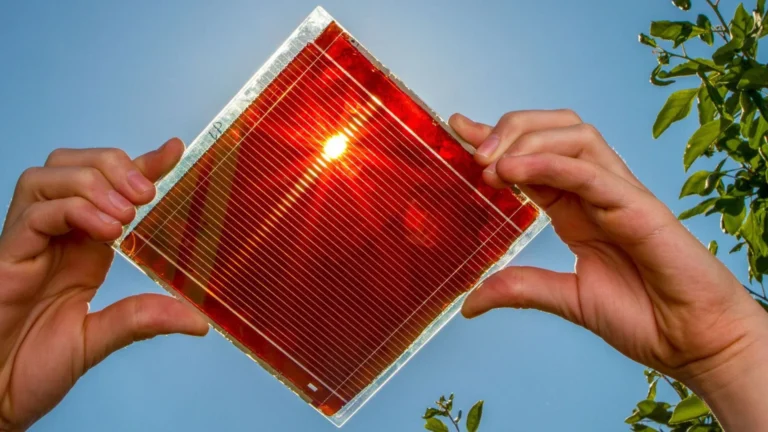 Perovskite Solar Cells