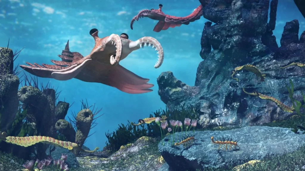 Canada Fossils Reveal Earlier Animal Evolution