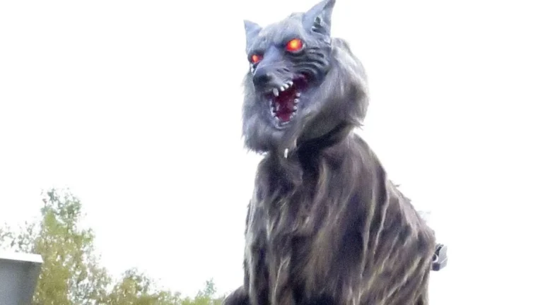 Japan’s Robot Wolves Face Huge Demand Amid Bear Crisis