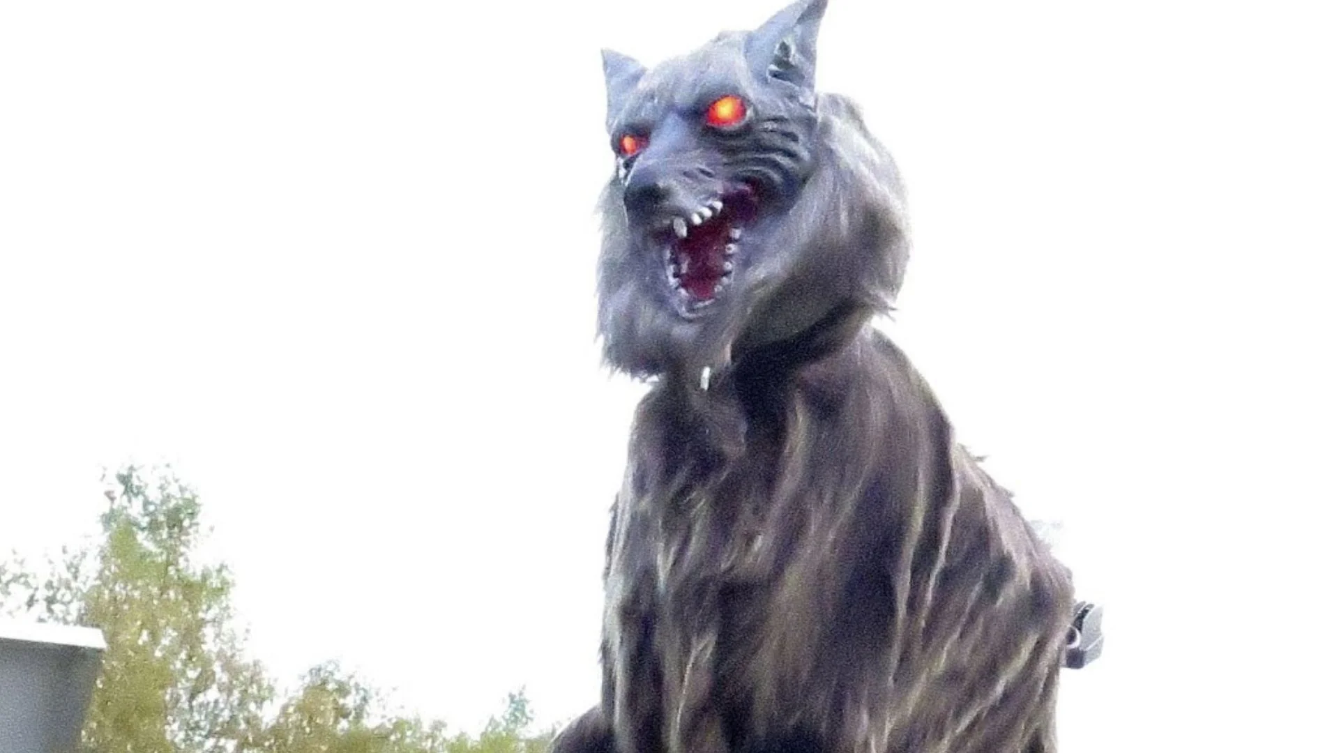 Japan’s Robot Wolves Face Huge Demand Amid Bear Crisis