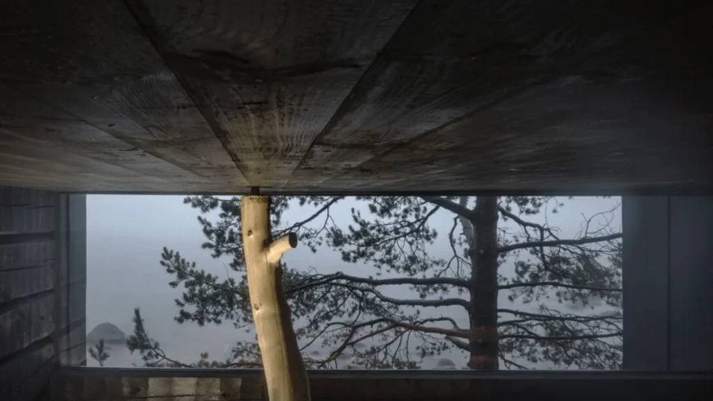 Misfit Wood Gets Structural Validation as Researchers Rethink Timber Waste