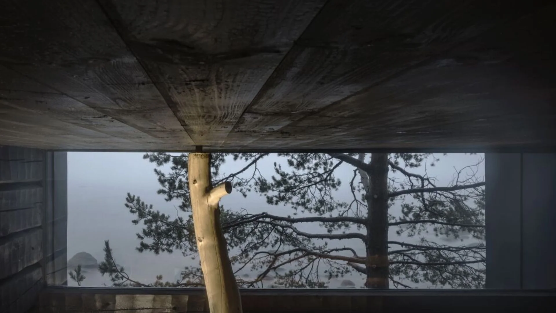 Misfit Wood Gets Structural Validation as Researchers Rethink Timber Waste