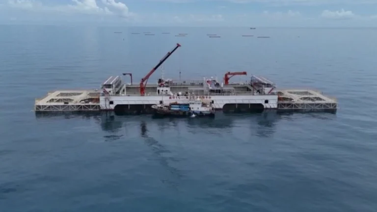 China Launches Xinhuan No. 1, Its Largest Offshore Fish Farming Platform, in Hainan