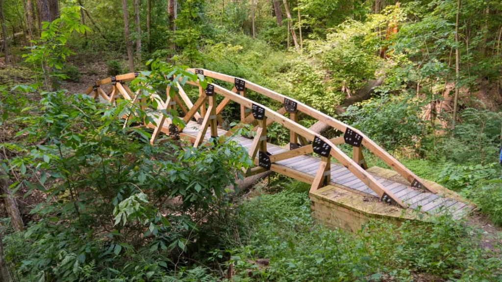 Cornell students designed and built community bridges