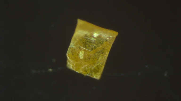 Rare Higgs Mode Found in Perovskite Crystal