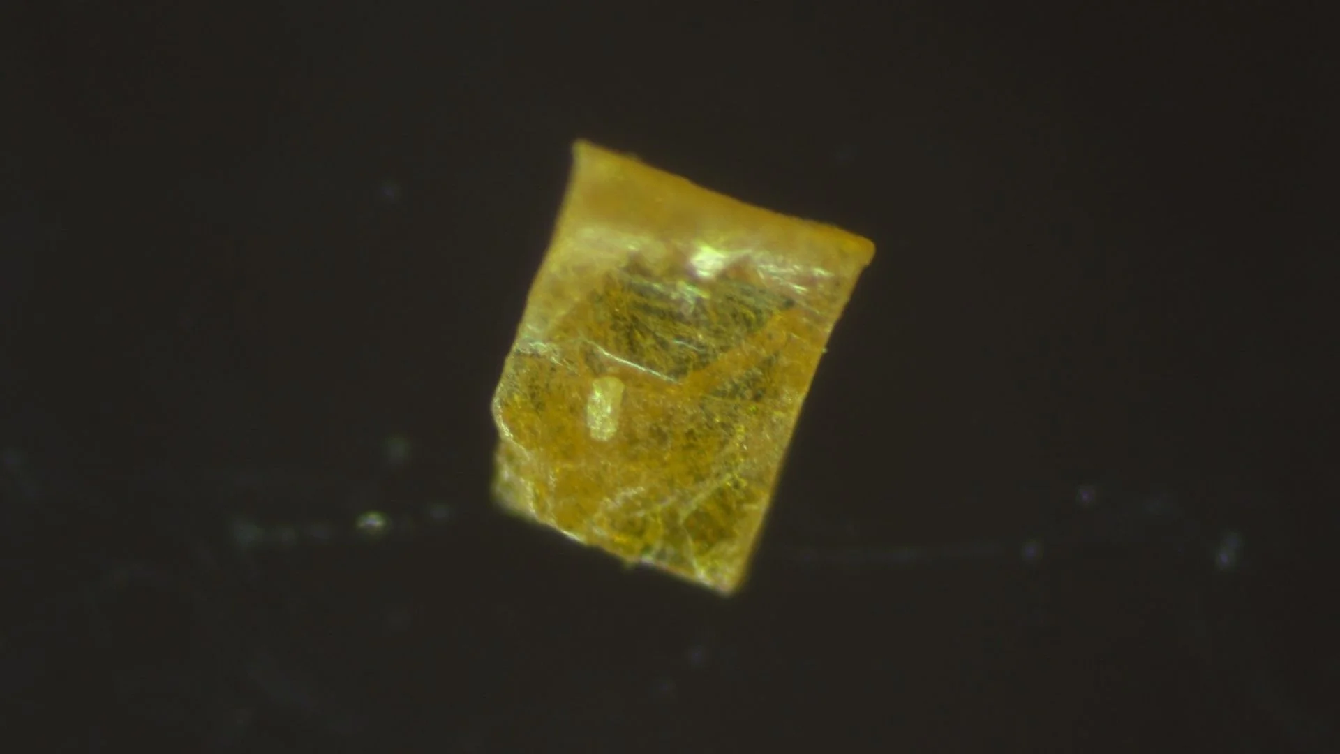 Rare Higgs Mode Found in Perovskite Crystal