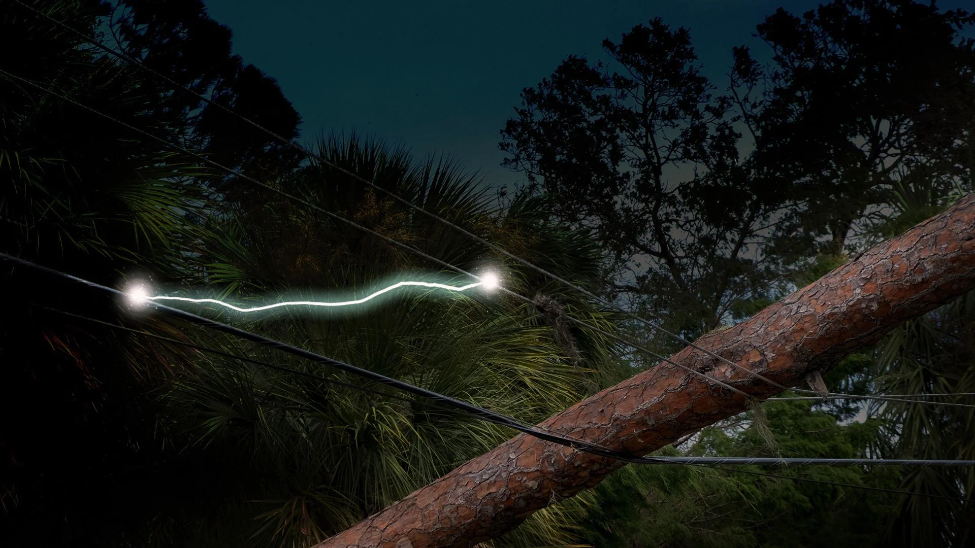 AI Grid Monitoring System Targets Wildfires Risk