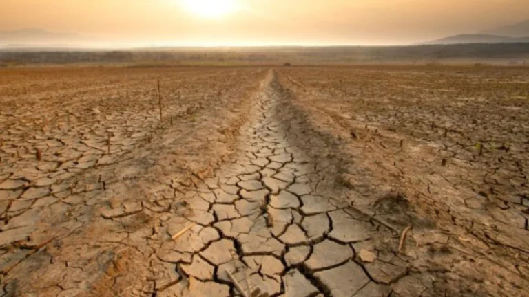 China deploys moon-tested basalt fiber to combat desertification