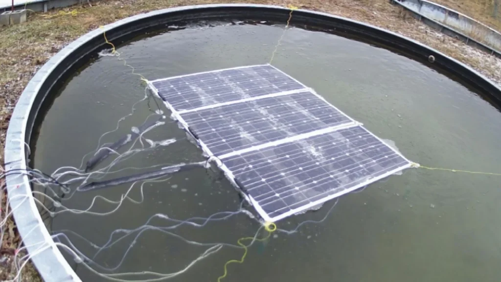 Floating Solar Panels Stay Ice-Free in Canadian Winter While Boosting Power Output