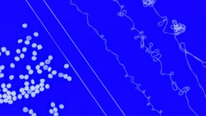 MIT's New Recyclable Elastic Yarn Could Finally Solve Fashion's Spandex Problem