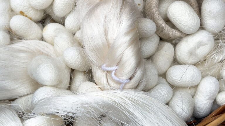 Scientists Create Super Silk That Stays Strong and Keeps Its Shape Even After Getting Wet