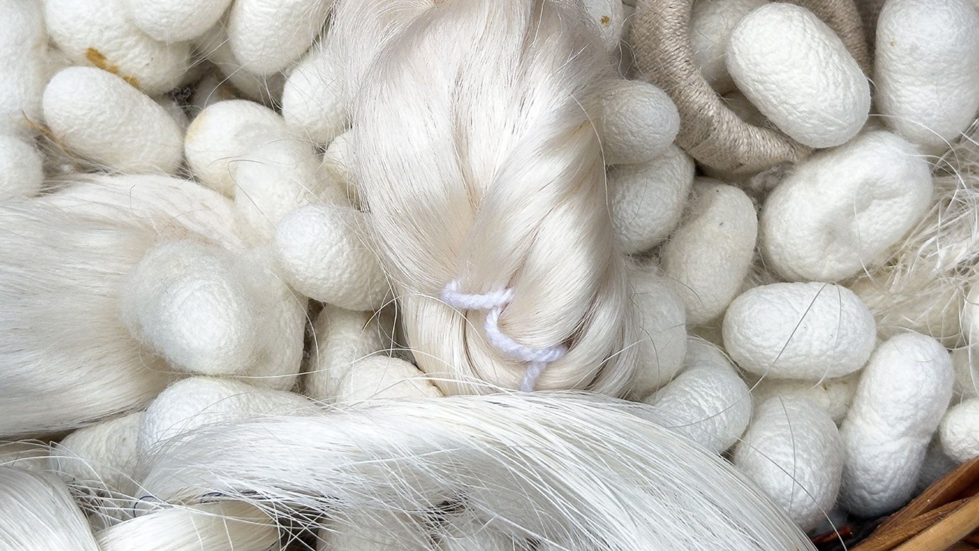 Scientists Create Super Silk That Stays Strong and Keeps Its Shape Even After Getting Wet