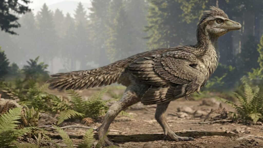 Long-Tailed Jurassic Bird