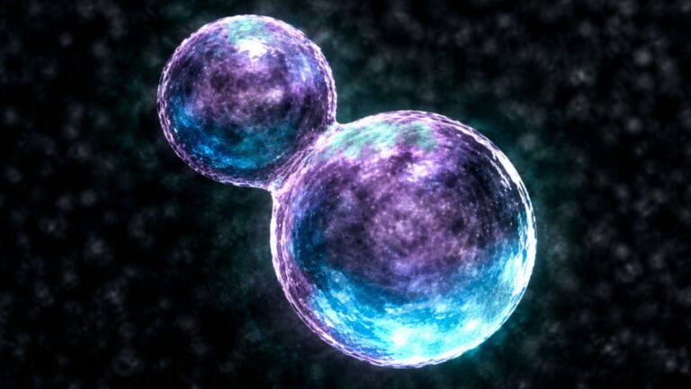 Scientists Create SpudCell, a Synthetic Cell Built From Nonliving Materials