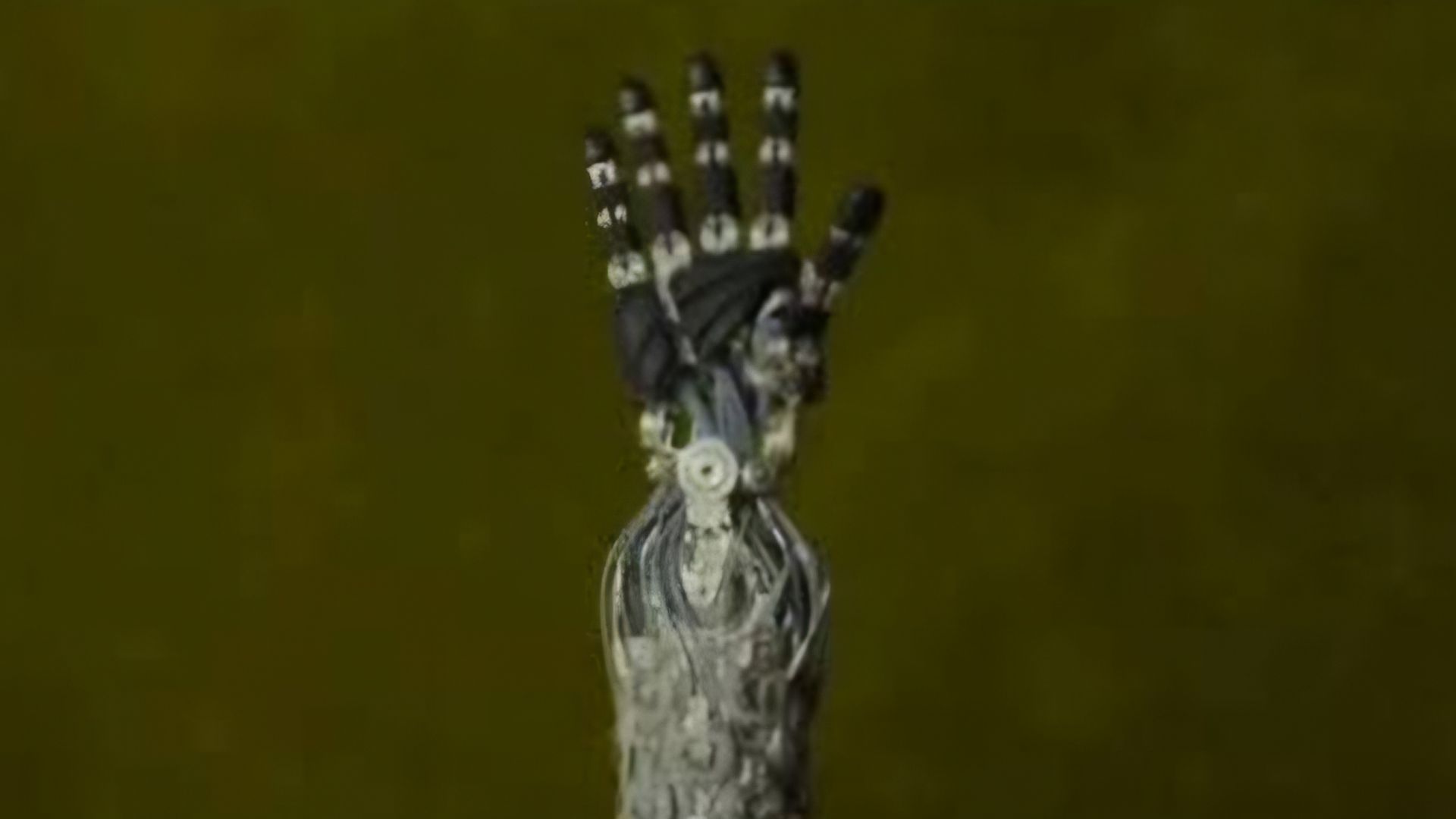 Neo Robot