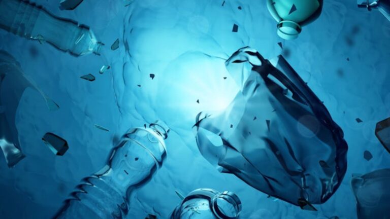 Plastic Waste