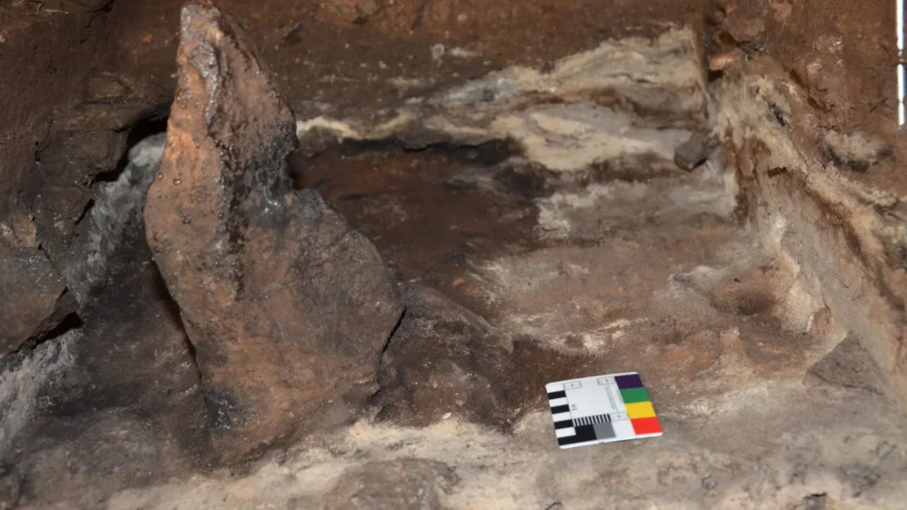 Cloggs Cave Reveals 25,000 Years of Aboriginal Ritual Grass-Burning