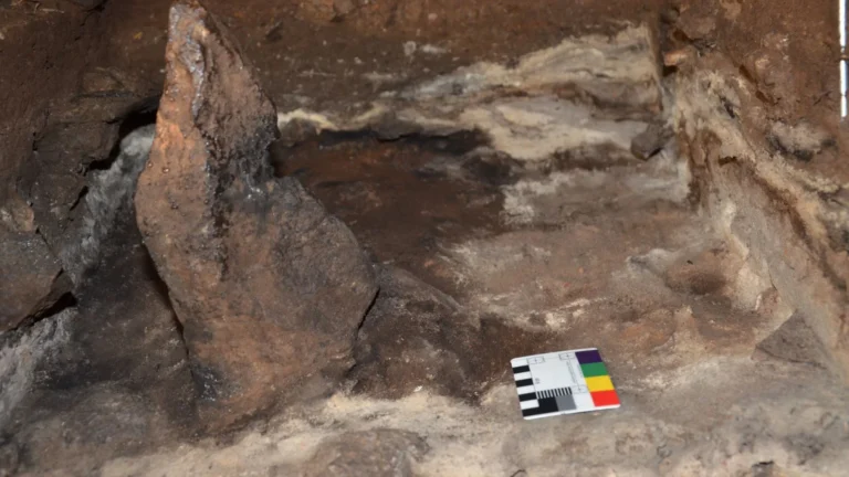 Cloggs Cave Reveals 25,000 Years of Aboriginal Ritual Grass-Burning