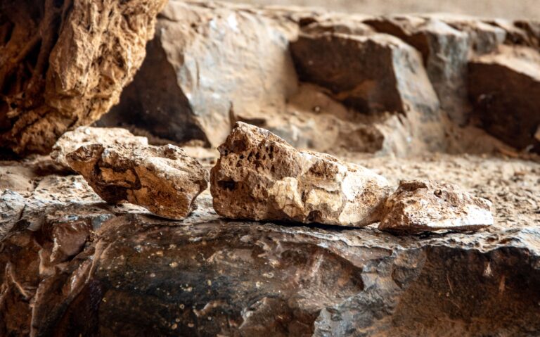 Rare Earth Minerals
