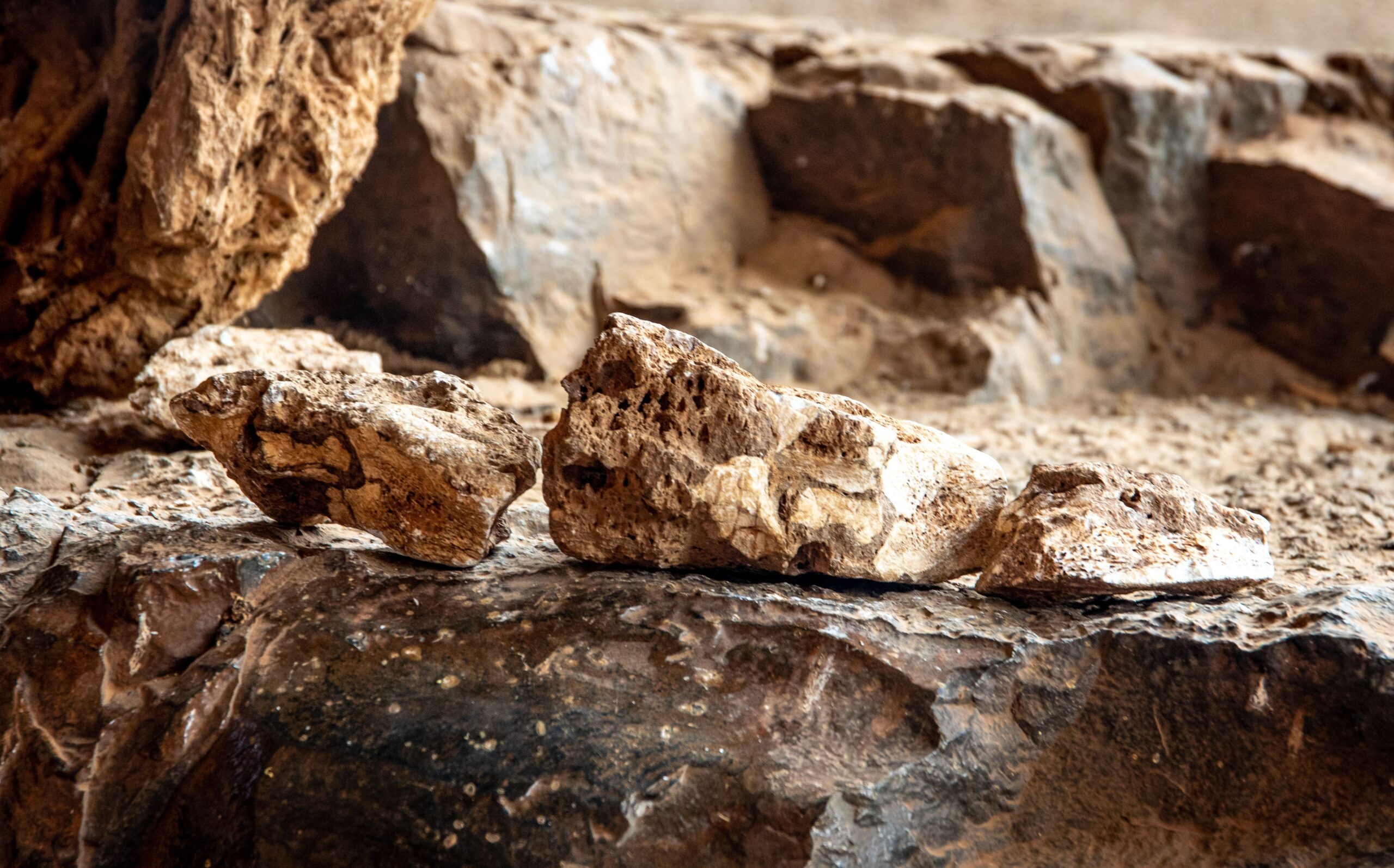 Rare Earth Minerals