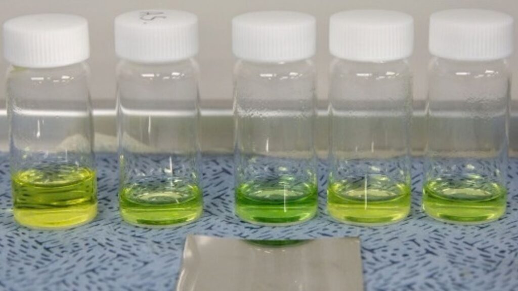 KIER's palladium membrane transports hydrogen ions without water crossover