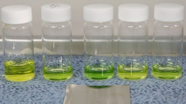 KIER's palladium membrane transports hydrogen ions without water crossover