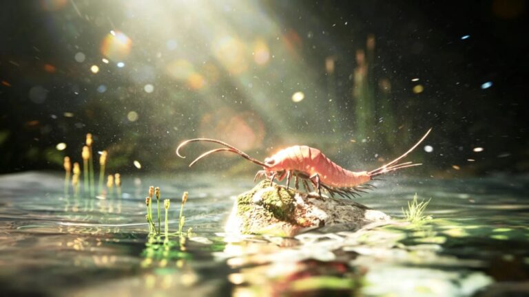324-million-year-old fossil