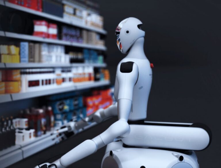 Chinese robotics