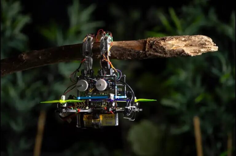 Drone like a Bird