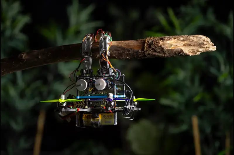Drone like a Bird