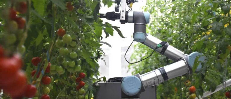 AI robot