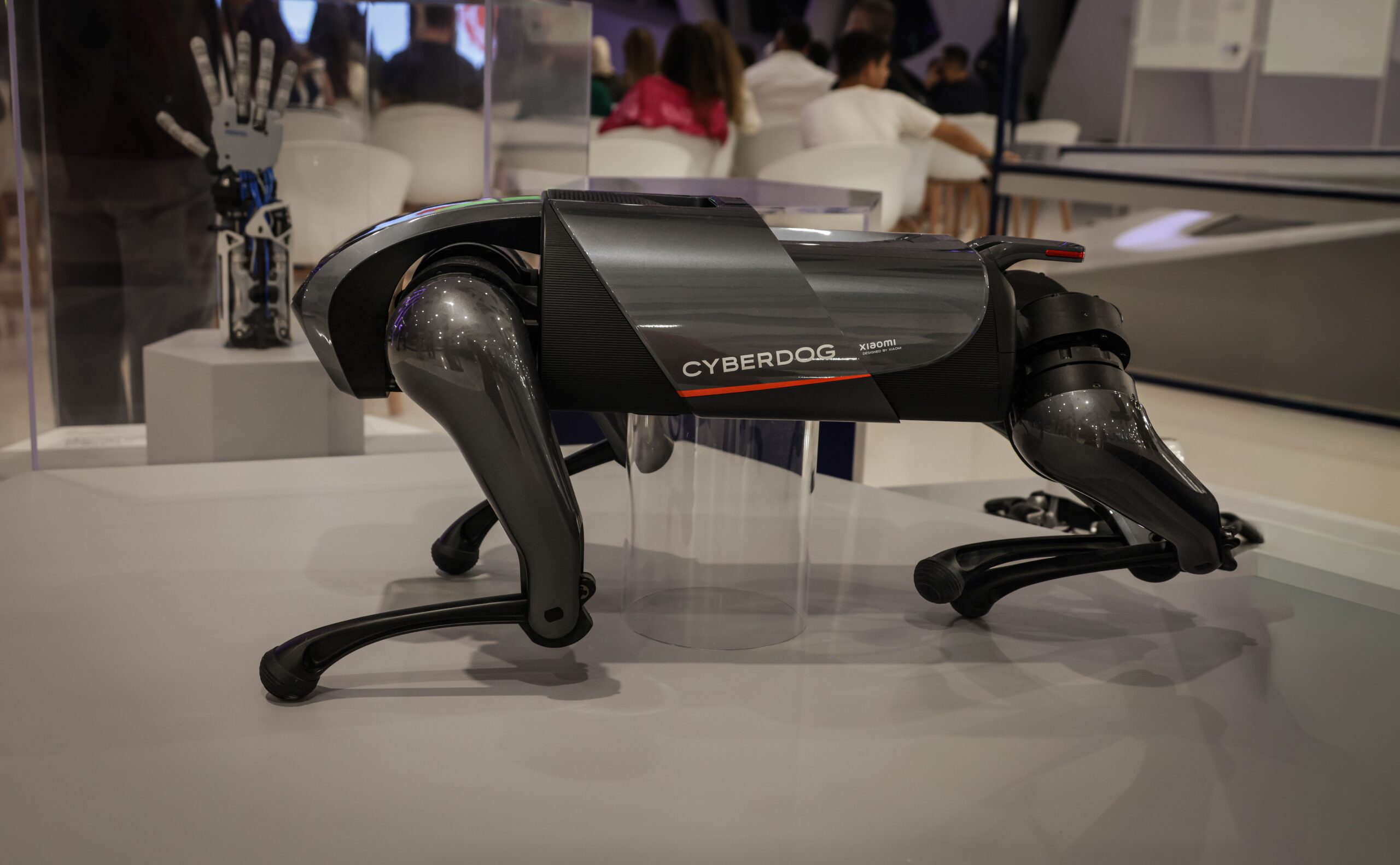 Robot Dogs
