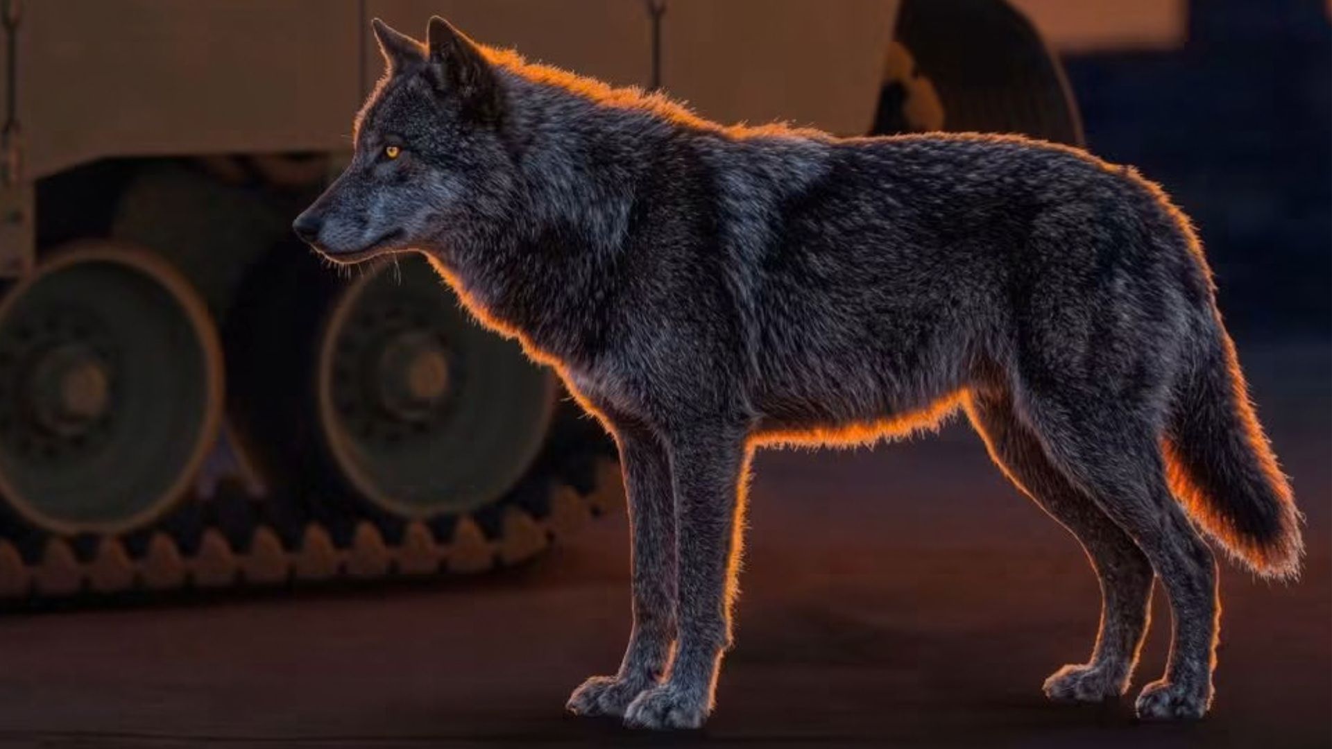GDLS To Unveil Full Wolf XM30 Design At AUSA 2026